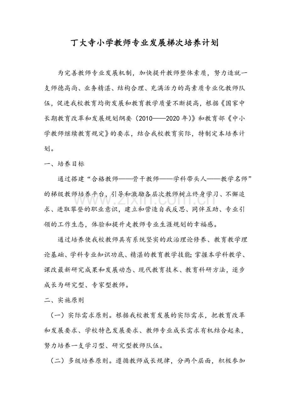 教师专业发展梯次培养计划.doc_第1页