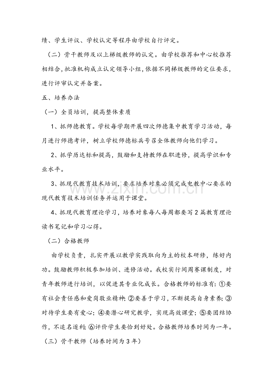 教师专业发展梯次培养计划.doc_第3页