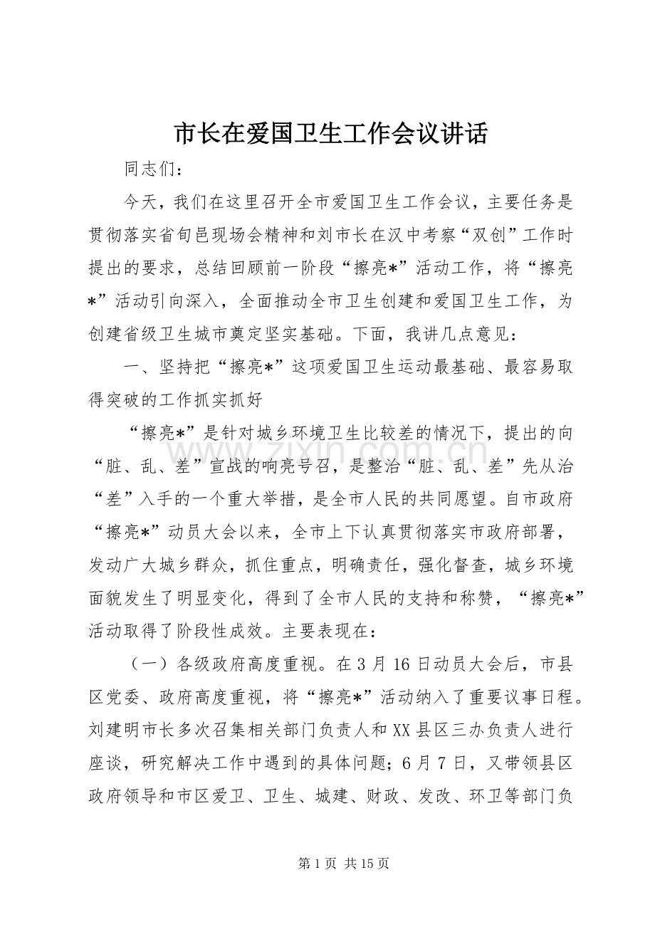 市长在爱国卫生工作会议讲话.docx_第1页