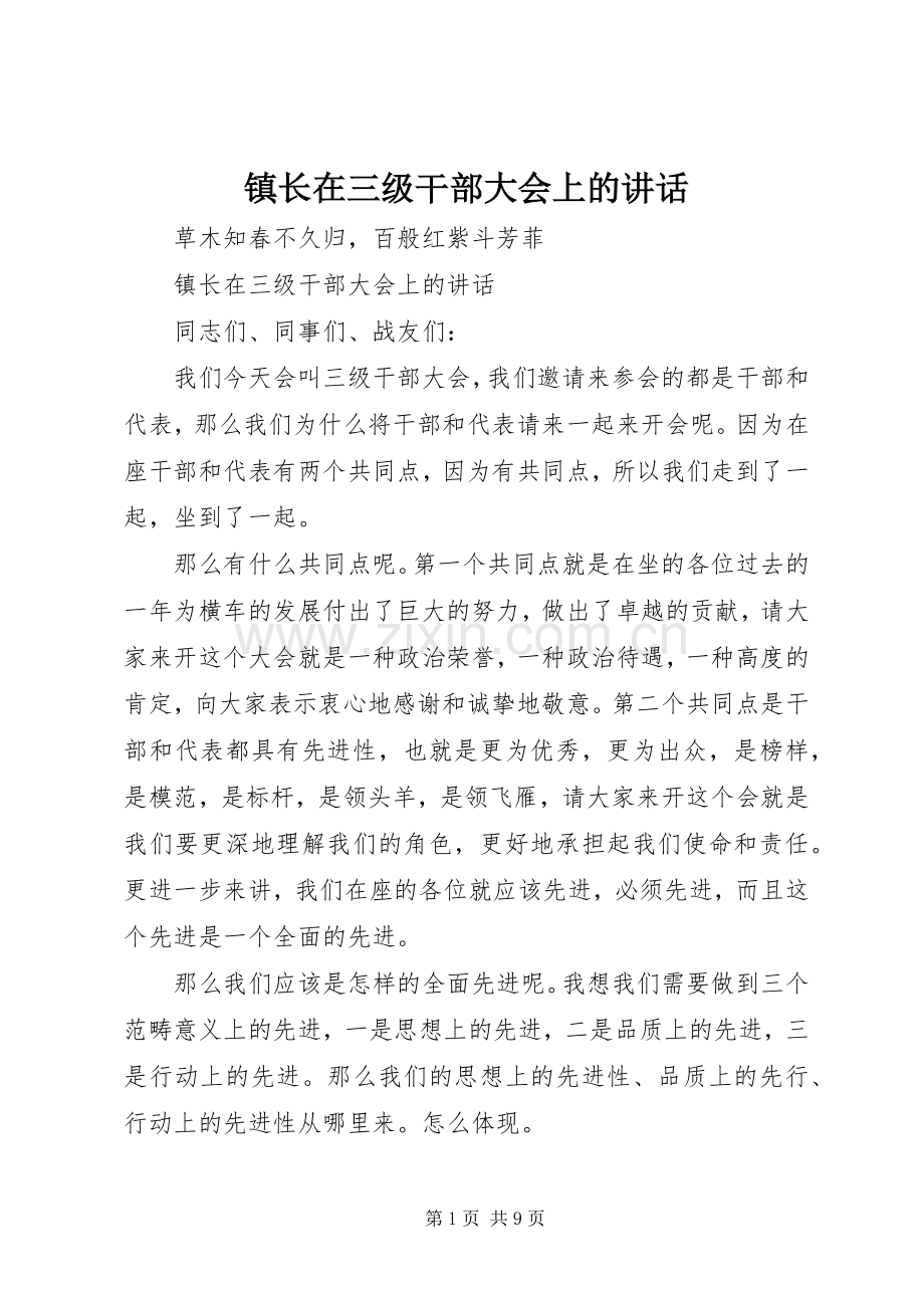 镇长在三级干部大会上的讲话.docx_第1页