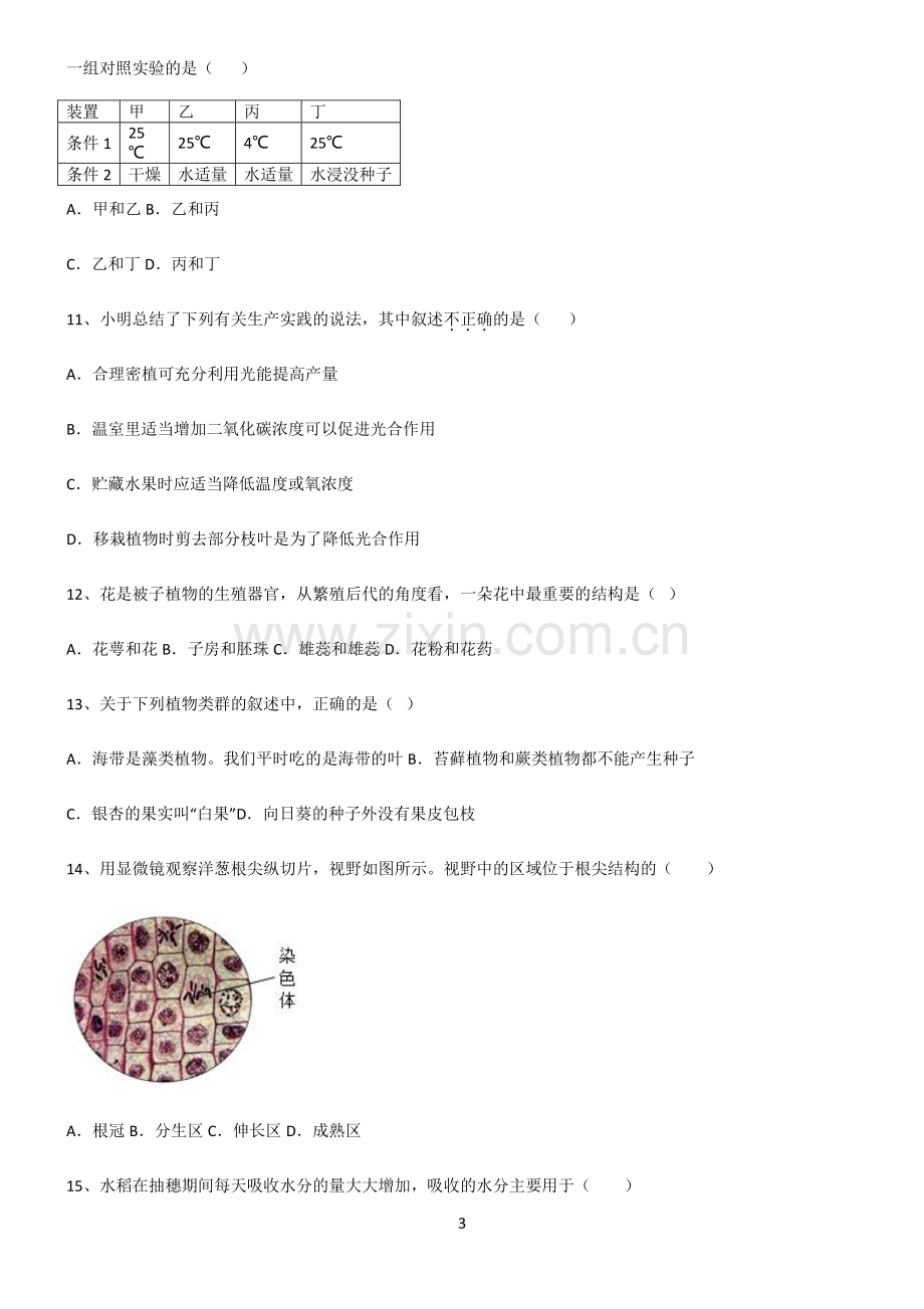 (文末附答案)人教版2022年初中生物生物圈中的绿色植物经典大题例题.pdf_第3页