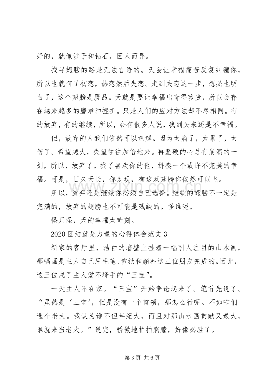 20XX年团结就是力量的心得体会多篇.docx_第3页