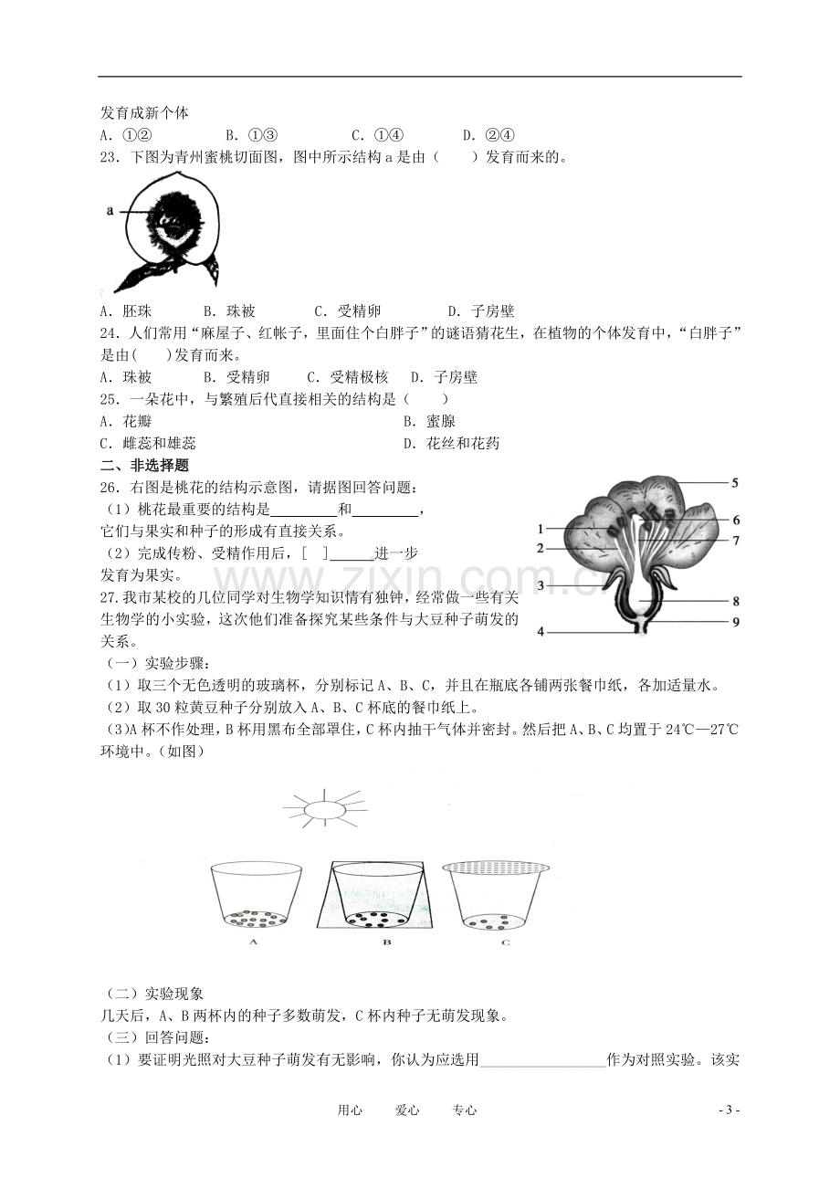 八年级生物上册《植物的生殖和发育》同步练习1-苏科版.doc_第3页