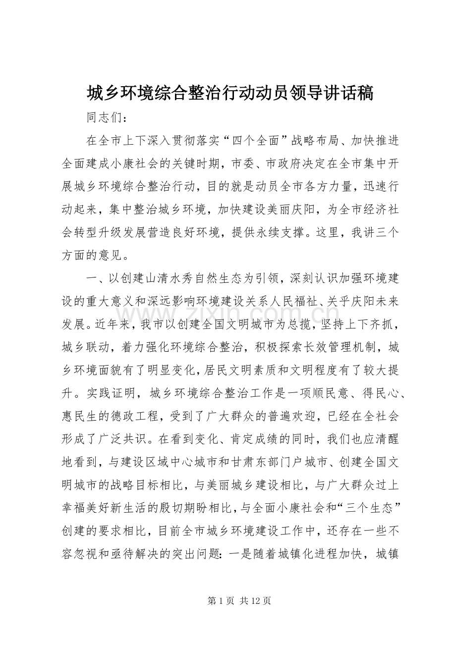 城乡环境综合整治行动动员领导讲话稿.docx_第1页