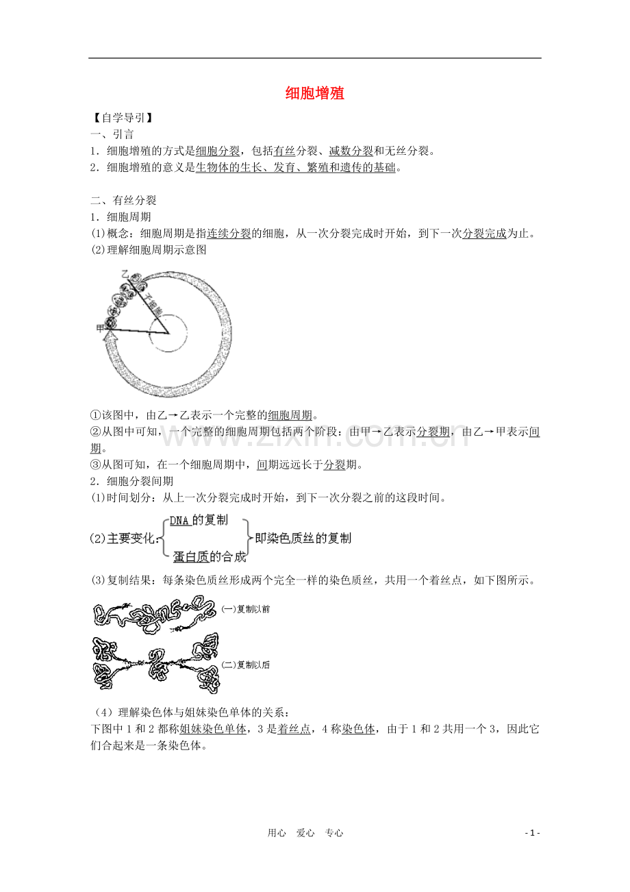 高三生物二轮复习-细胞增殖教案2-人教版.doc_第1页