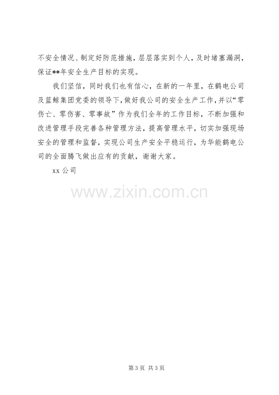 安全生产表态发言稿.docx_第3页