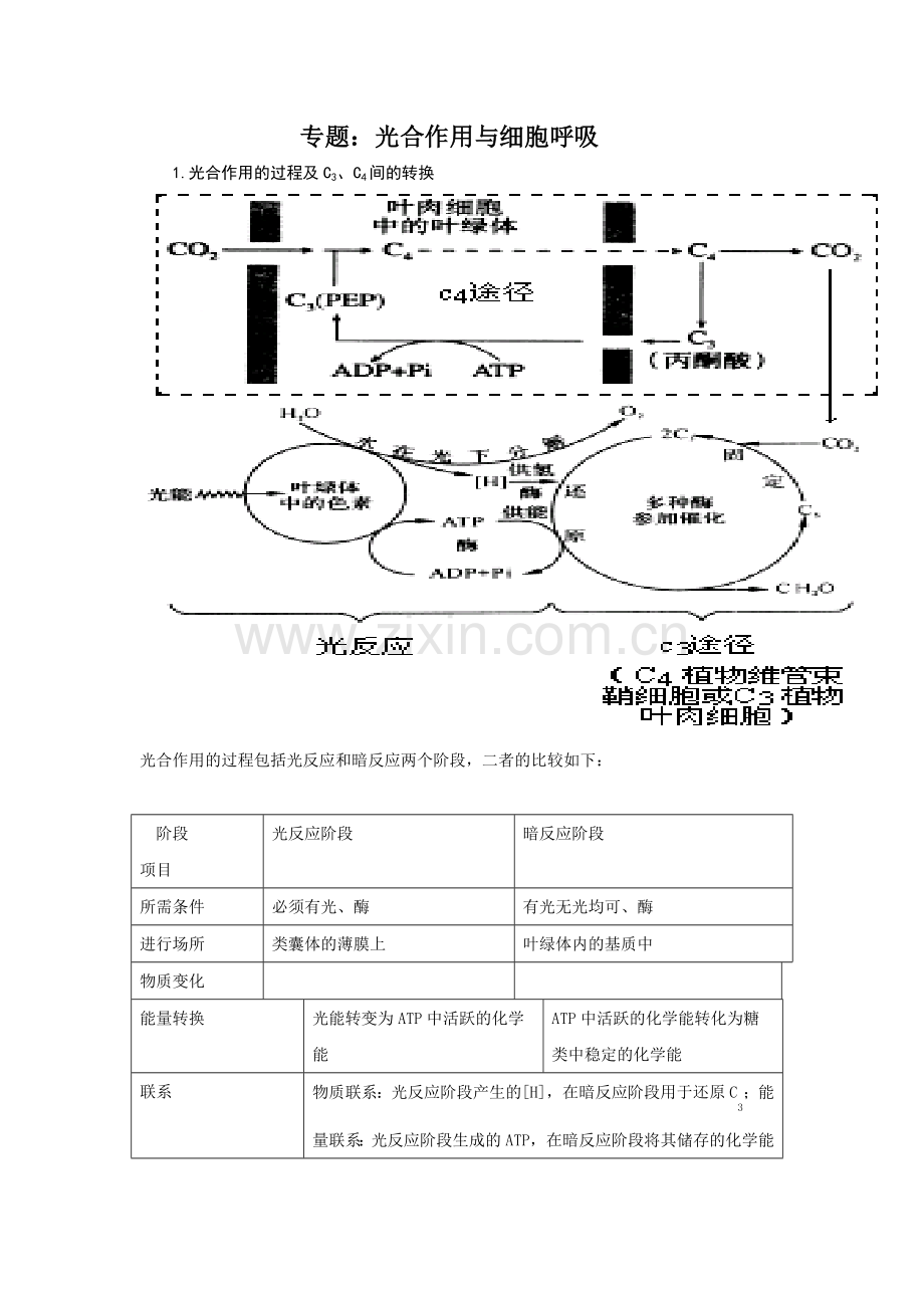 专题 细胞呼吸与光合作用.doc_第1页