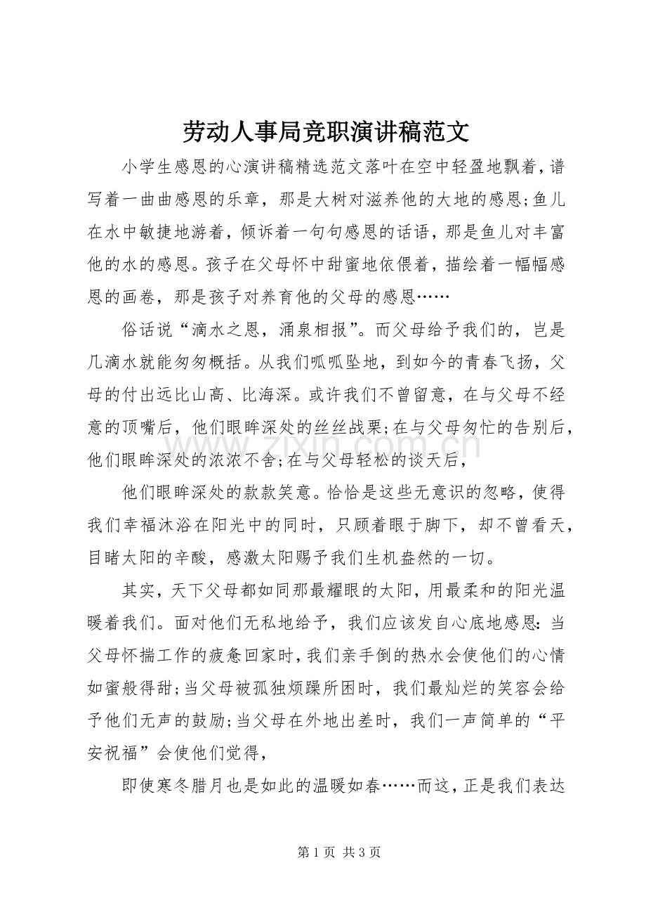 劳动人事局竞职演讲稿范文.docx_第1页