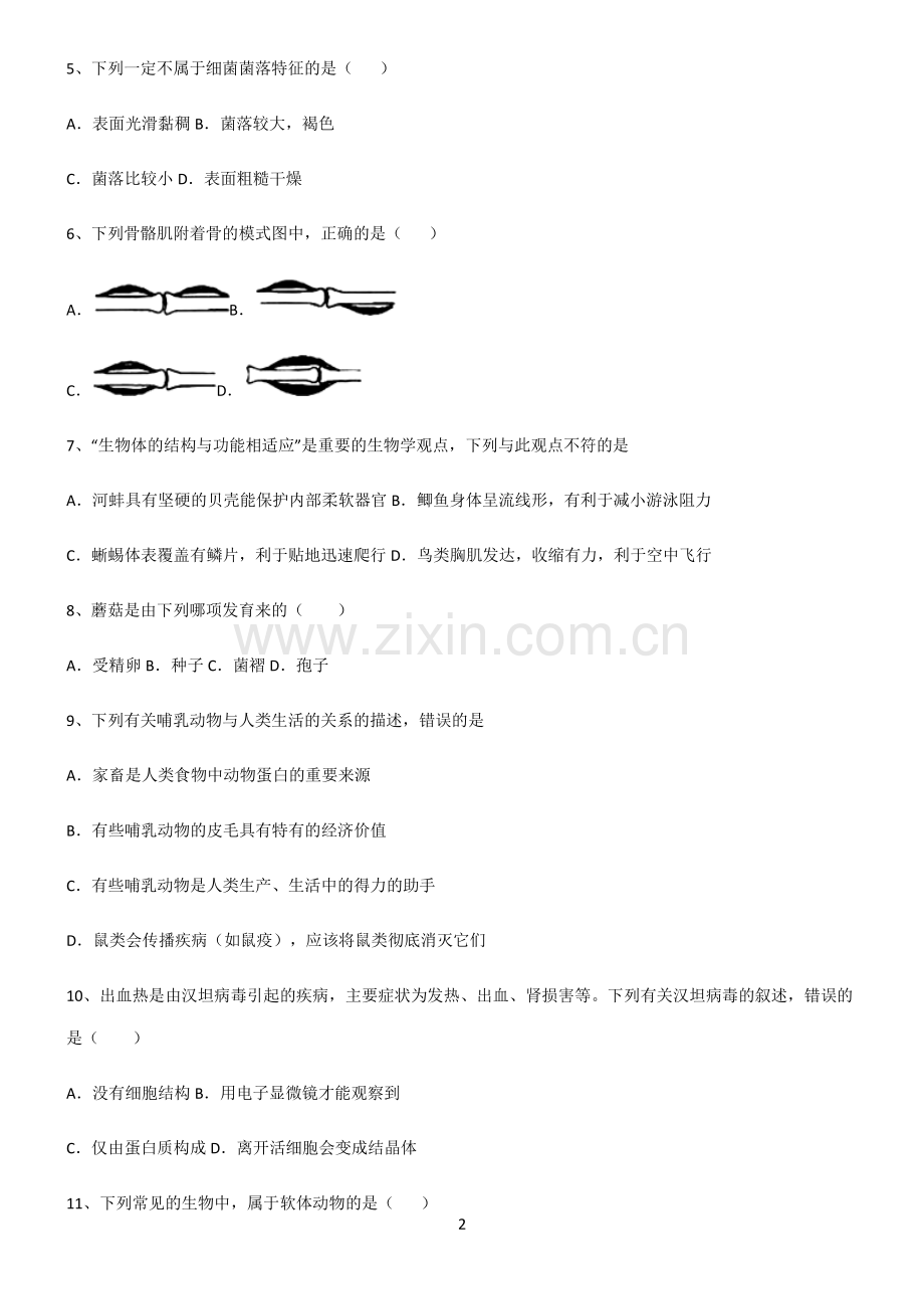 (文末附答案)2022届初中生物生物圈中的其他生物必练题总结.pdf_第2页