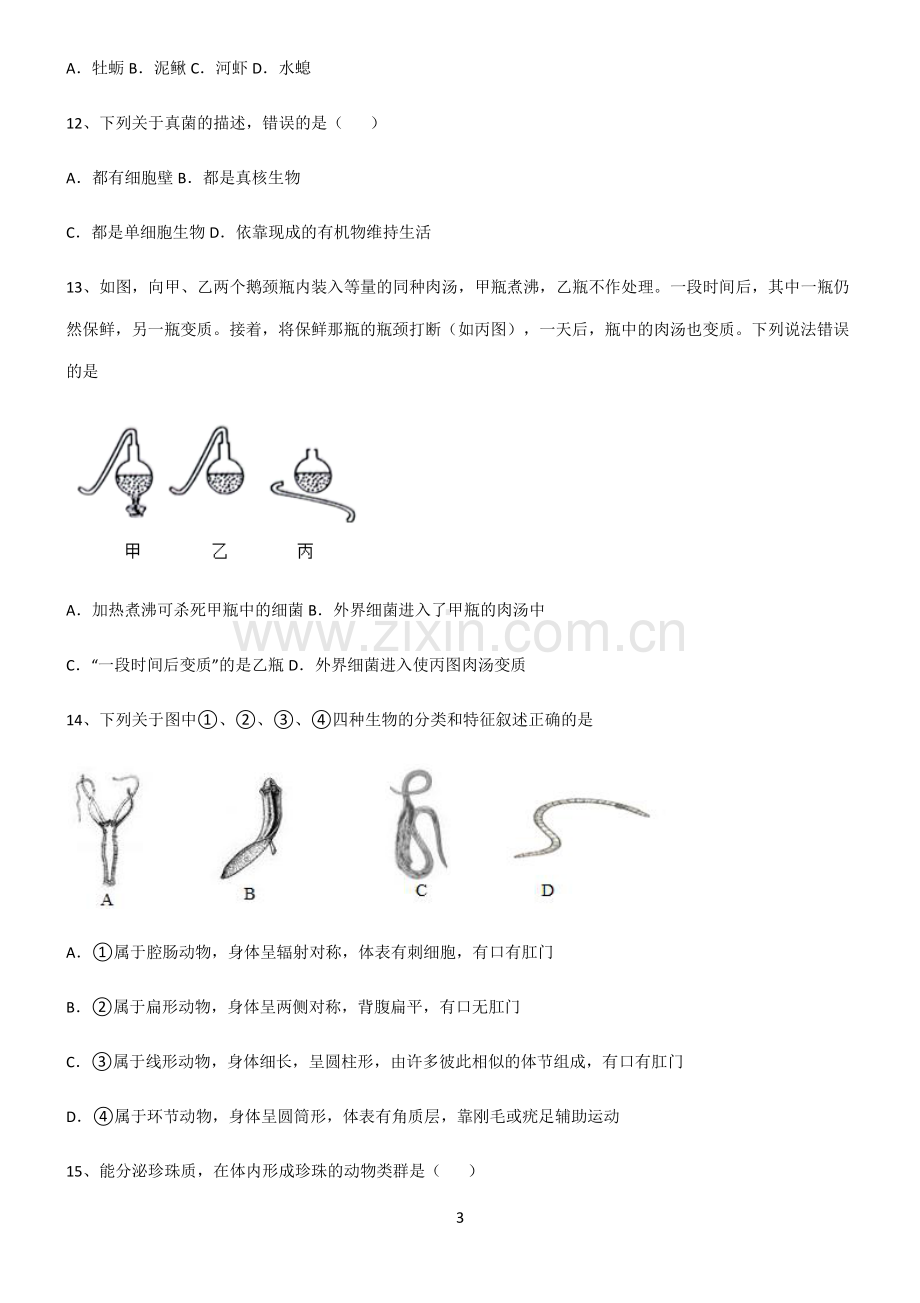 (文末附答案)2022届初中生物生物圈中的其他生物必练题总结.pdf_第3页