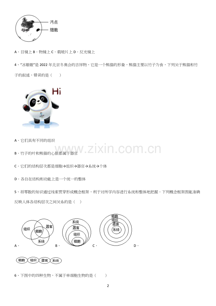 通用版初中生物七年级上册第二单元生物体的结构层次知识点归纳超级精简版.docx_第2页