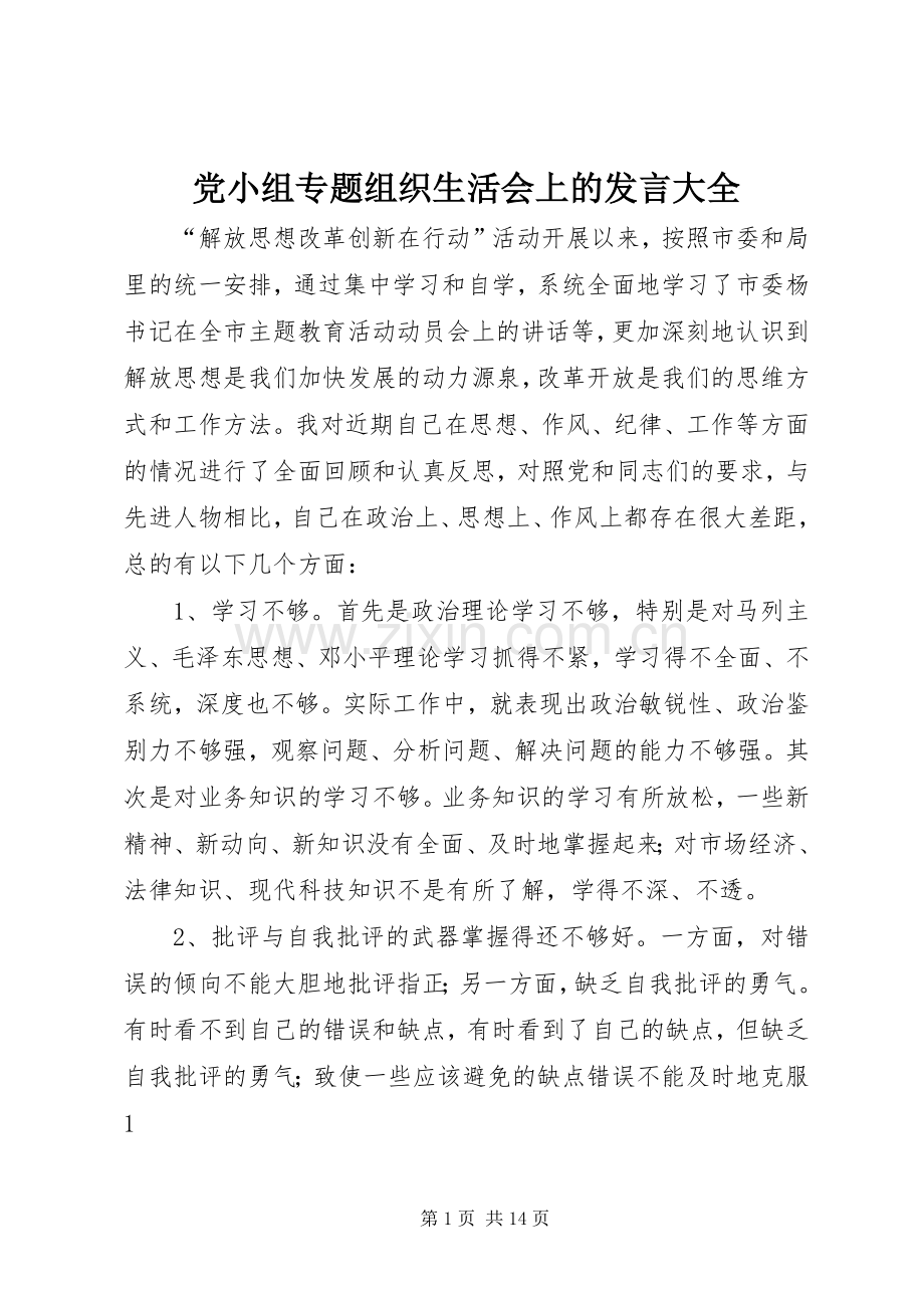 党小组专题组织生活会上的发言大全.docx_第1页