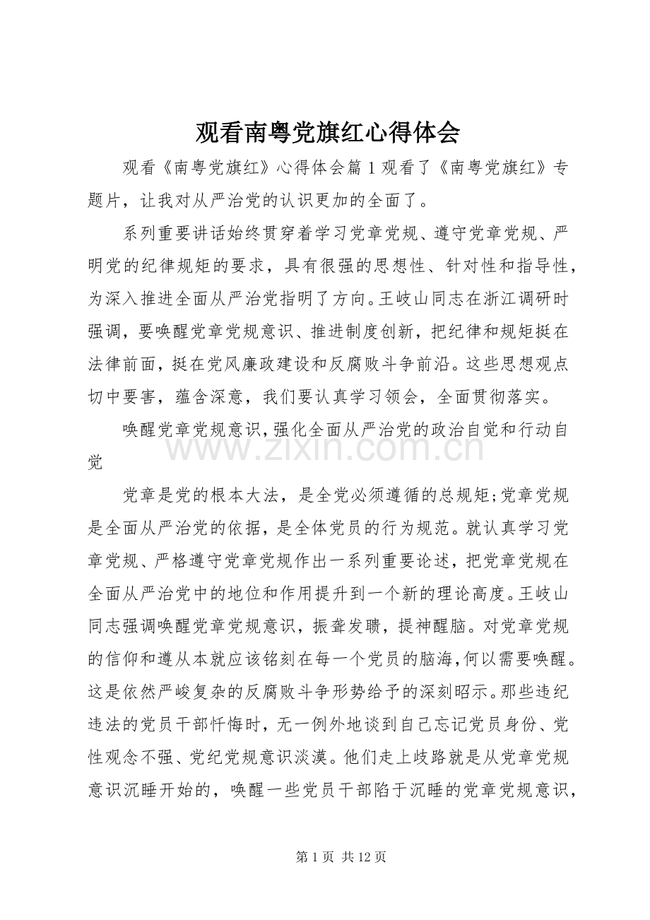 观看南粤党旗红心得体会.docx_第1页