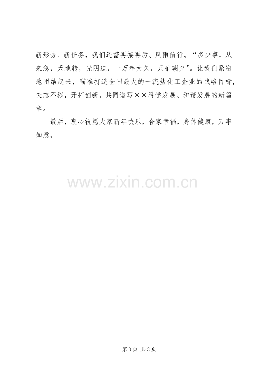 公司领导元旦讲话.docx_第3页