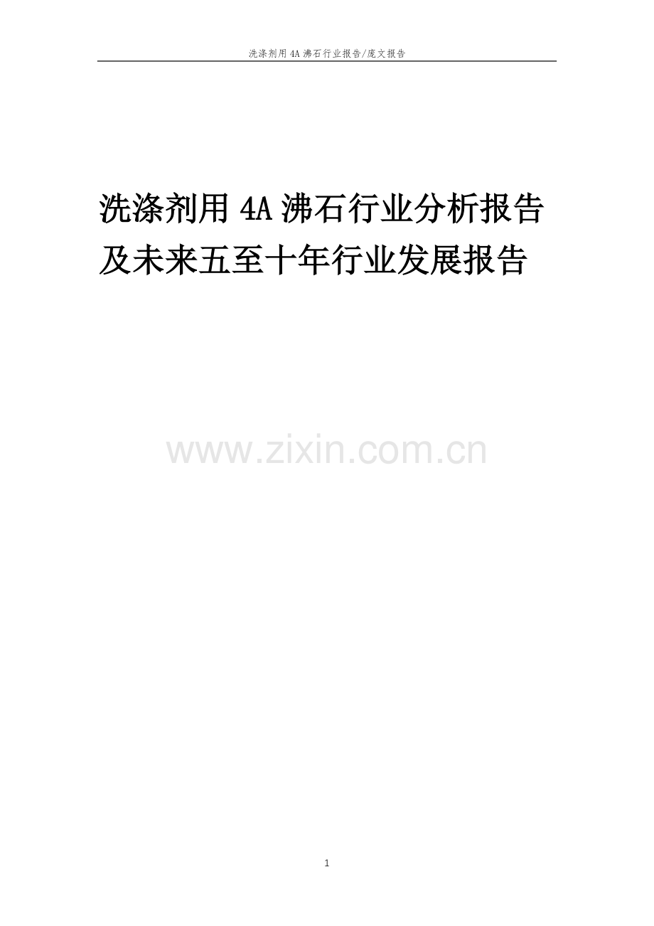 2023年洗涤剂用4A沸石行业分析报告及未来五至十年行业发展报告.doc_第1页