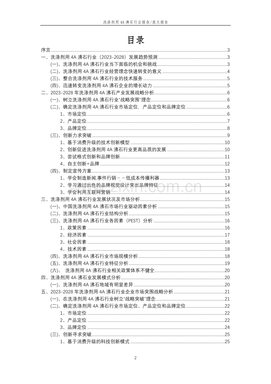 2023年洗涤剂用4A沸石行业分析报告及未来五至十年行业发展报告.doc_第2页