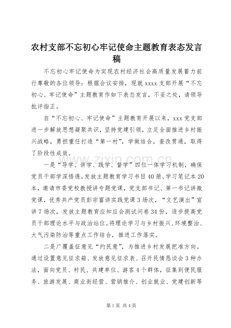 农村支部不忘初心牢记使命主题教育表态发言稿.docx_第1页