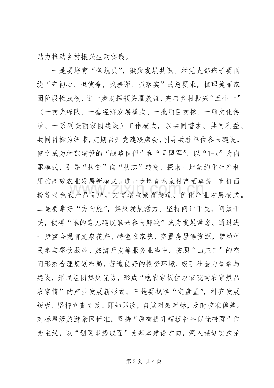 农村支部不忘初心牢记使命主题教育表态发言稿.docx_第3页