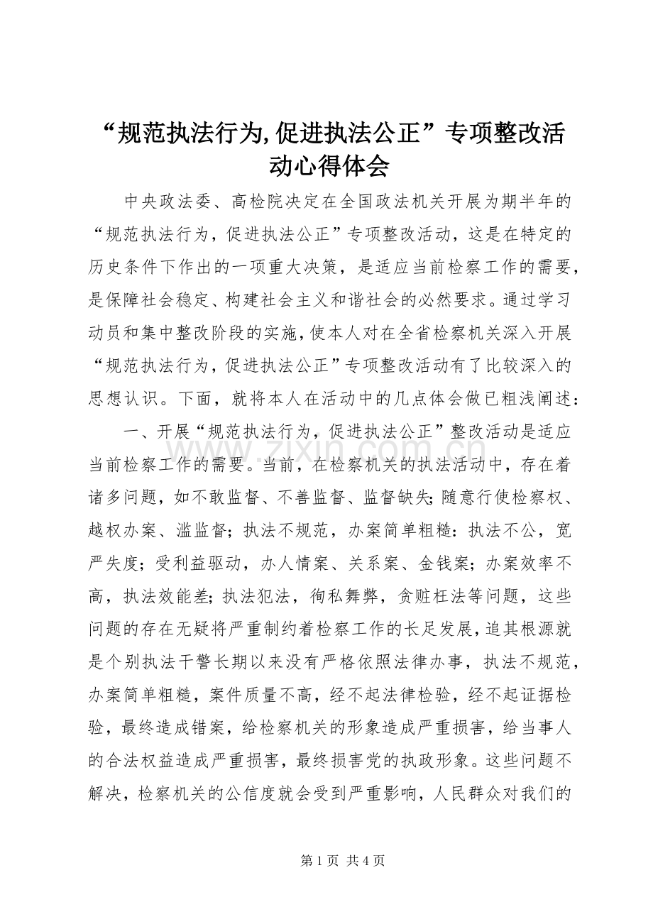 “规范执法行为,促进执法公正”专项整改活动心得体会.docx_第1页