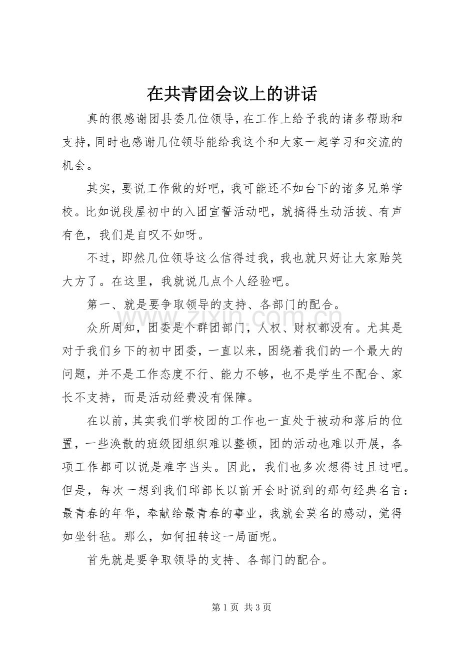 在共青团会议上的讲话.docx_第1页