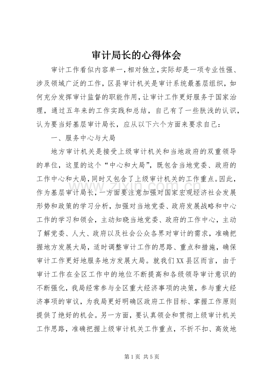 审计局长的心得体会.docx_第1页