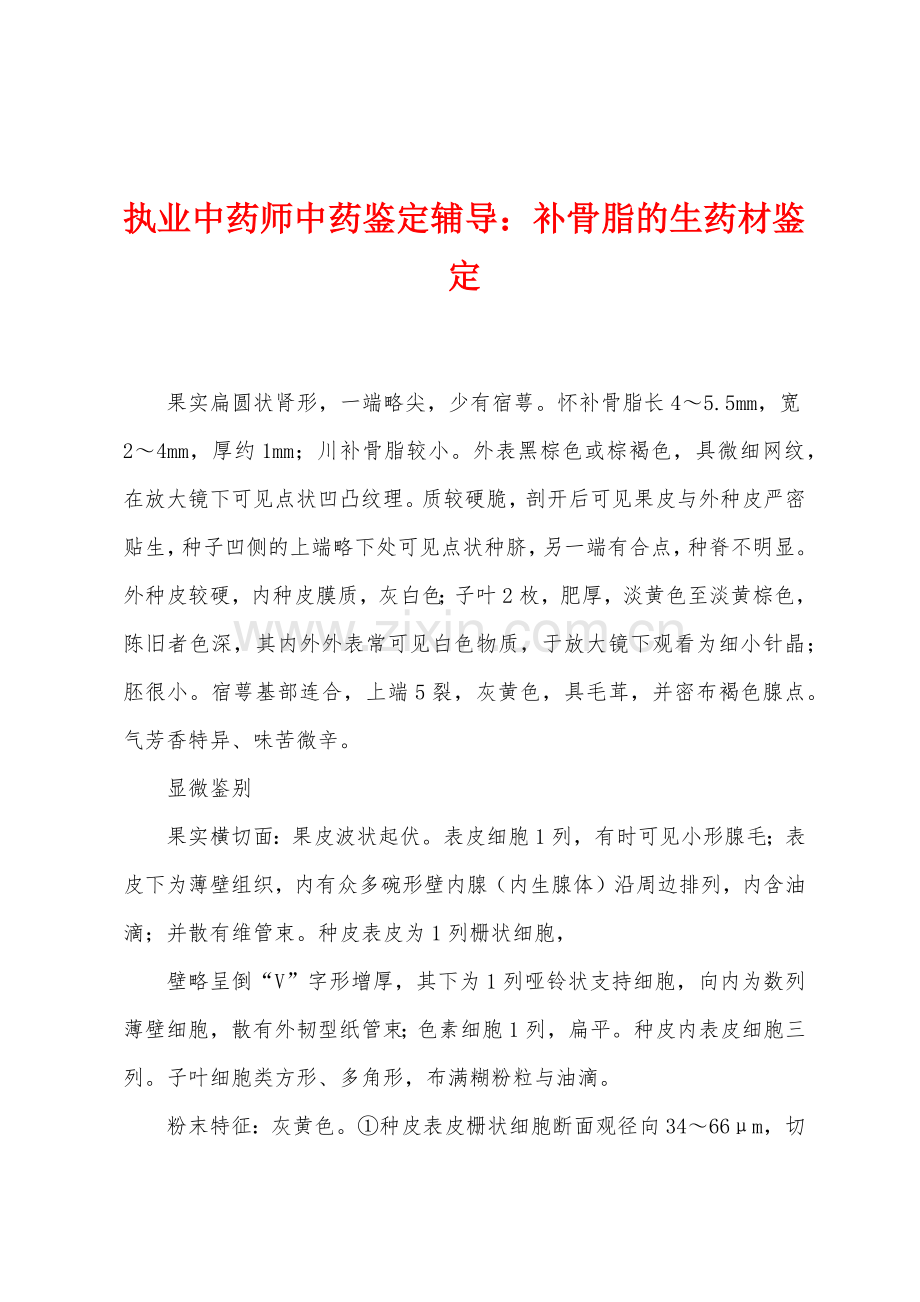 执业中药师中药鉴定辅导：补骨脂的生药材鉴定.docx_第1页