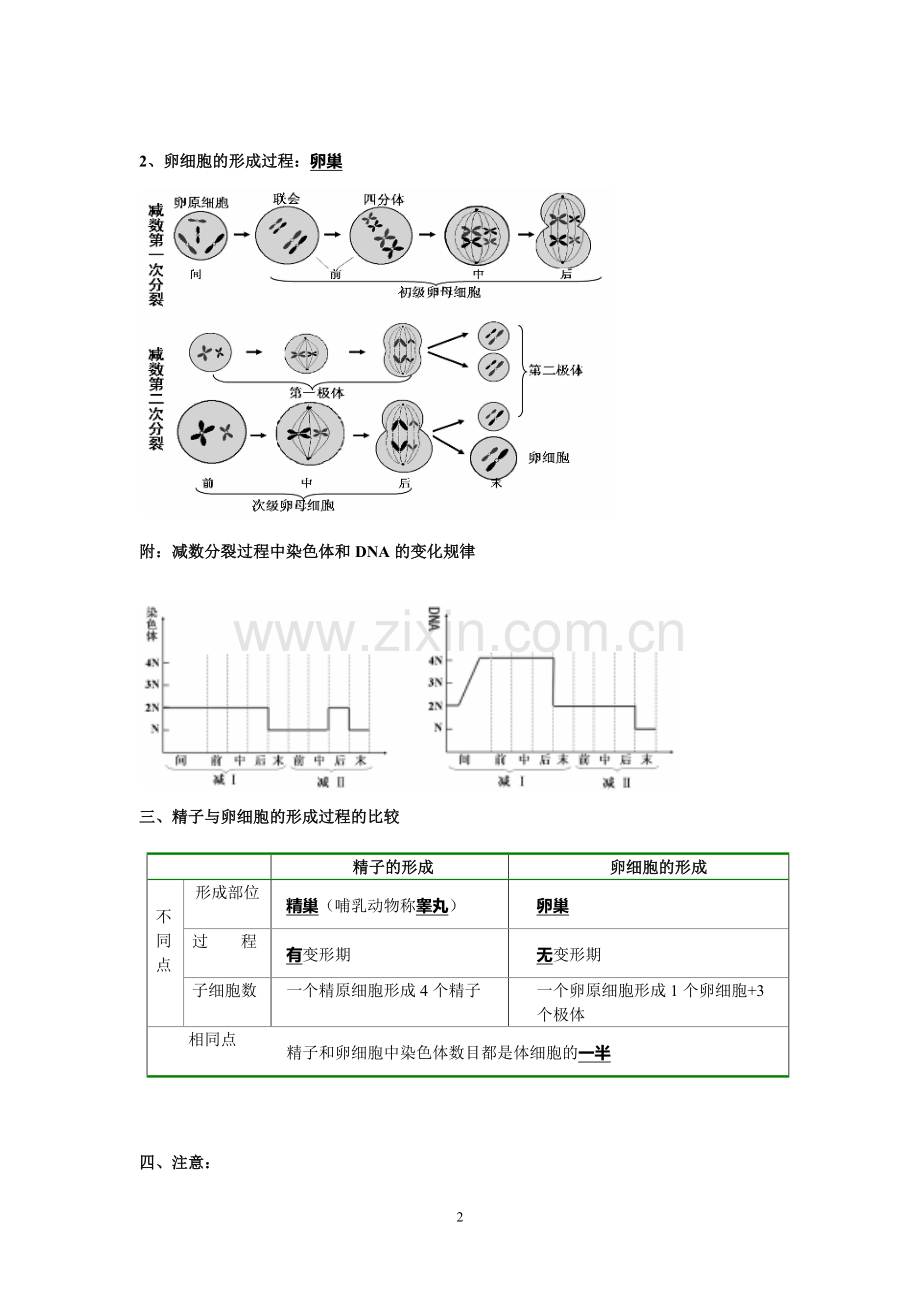 高中生物必修二知识点总结(精华版).doc_第2页