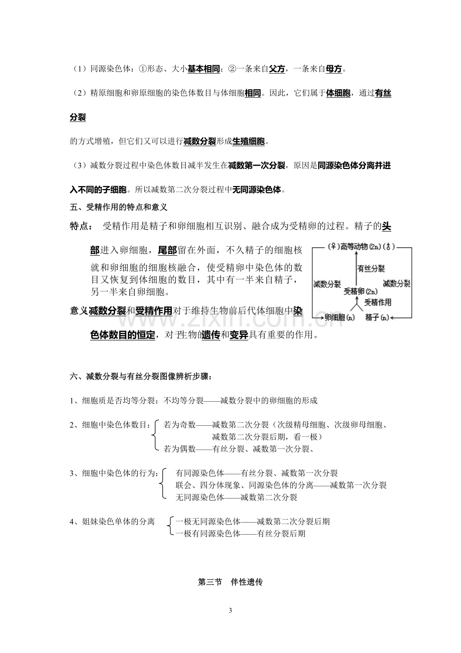 高中生物必修二知识点总结(精华版).doc_第3页