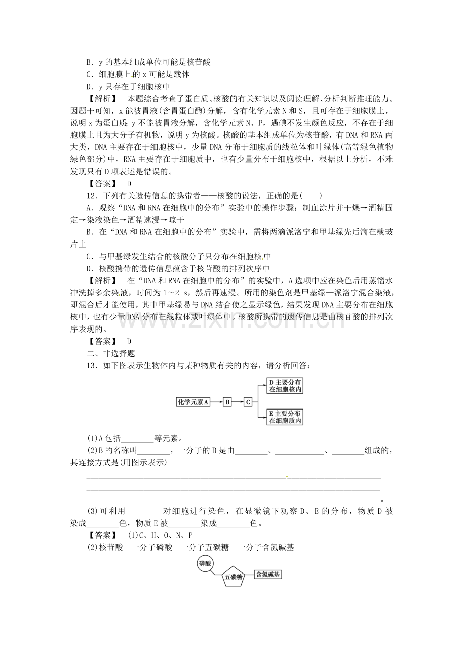 《金版》高中生物-第二单元-第二章-细胞中的核酸测试卷-中图版必修1.doc_第3页