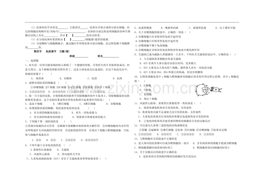 免疫调节(定稿).doc_第3页