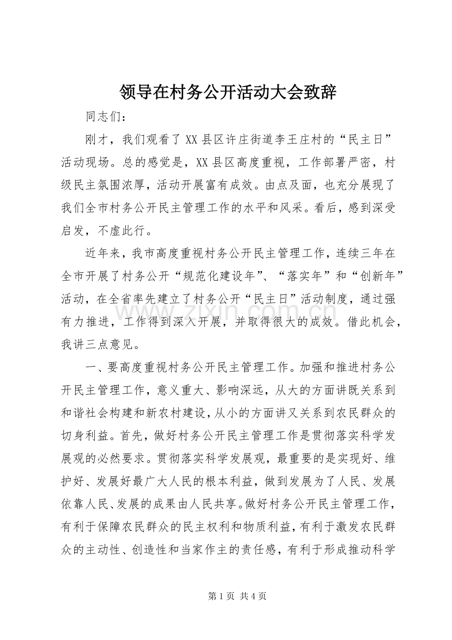 领导在村务公开活动大会致辞.docx_第1页