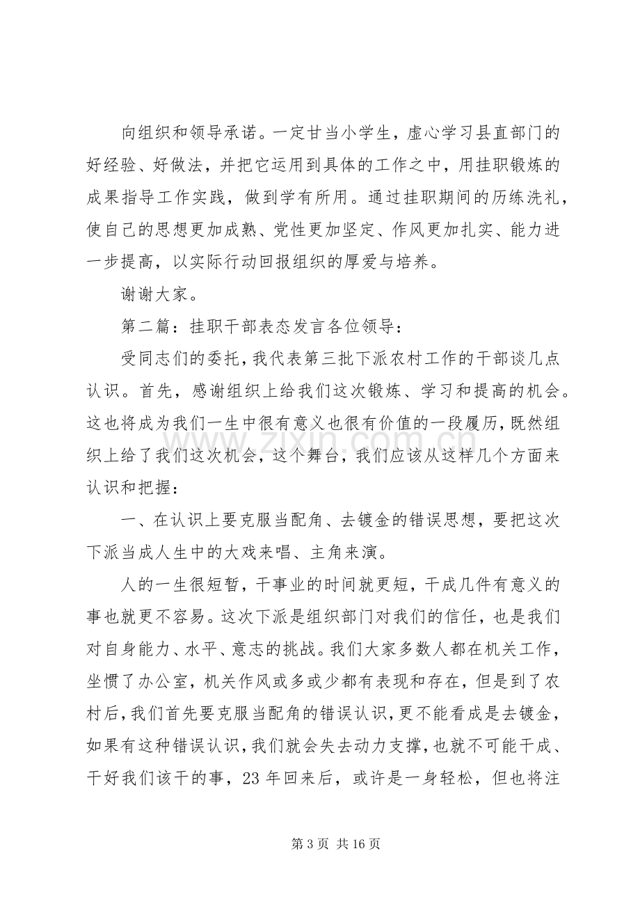 第一篇：挂职干部表态发言在双向挂职锻炼工作会议上的表态发言.docx_第3页