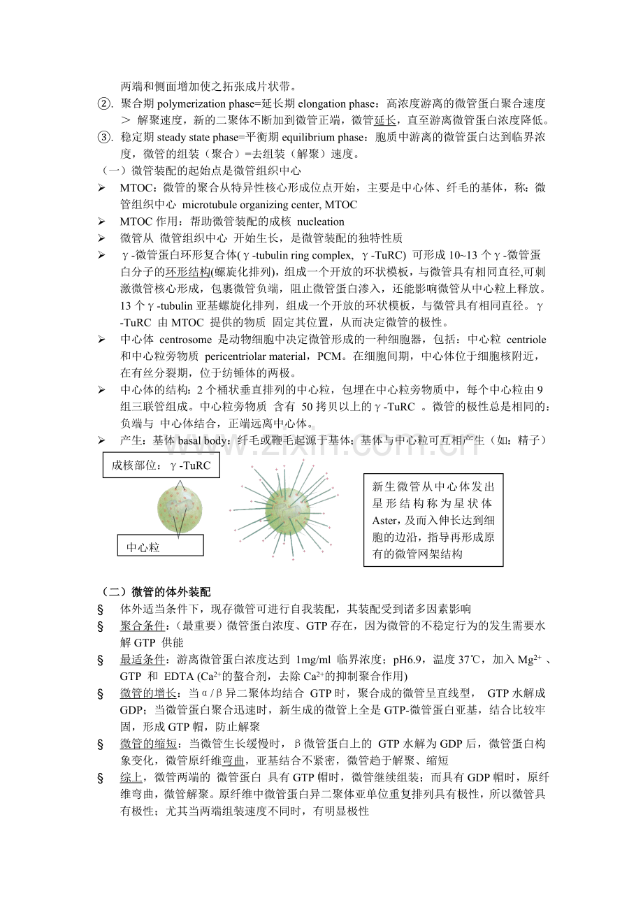 细胞生物学之笔记--第7章 细胞骨架与细胞运动.doc_第2页