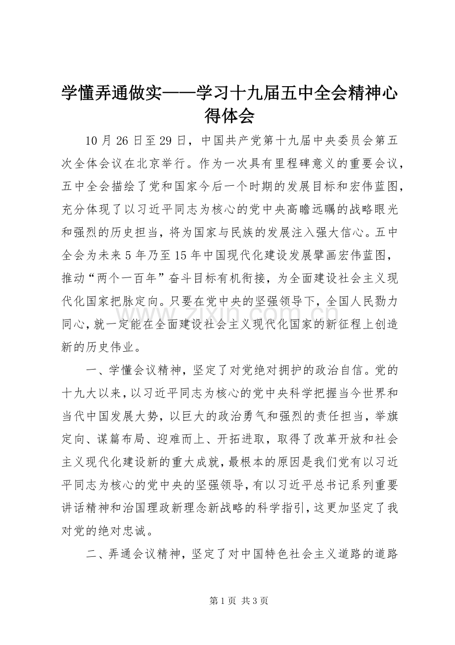 学懂弄通做实——学习十九届五中全会精神心得体会.docx_第1页