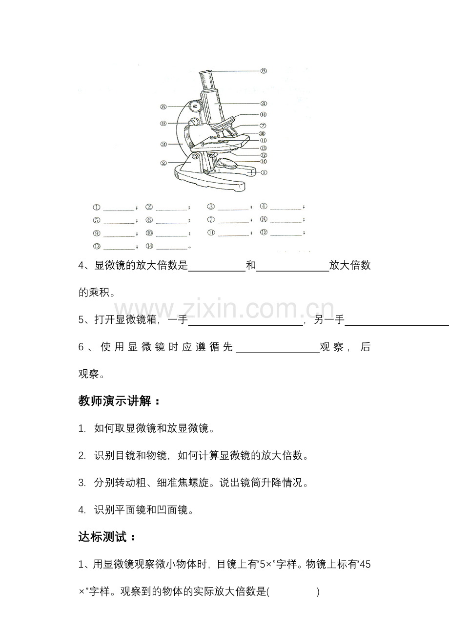 第二章第一节探索生命的器具(课时1).doc_第2页