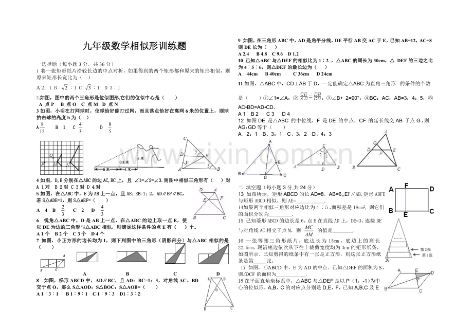 九年级数学相似形训练题.doc_第1页