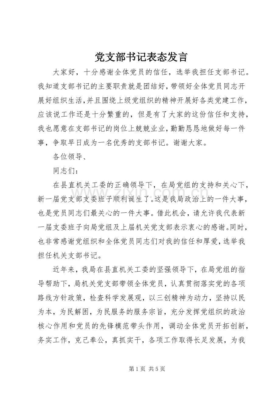 党支部书记表态发言.docx_第1页