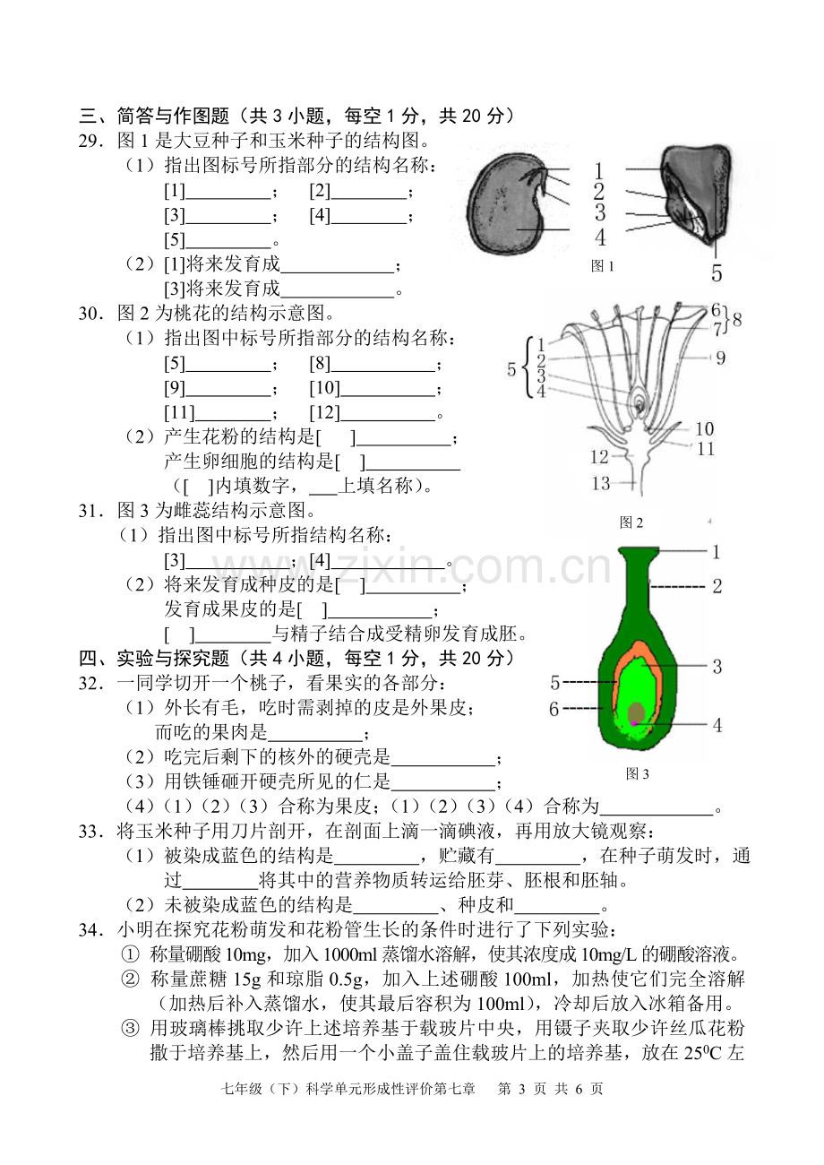 八年级(下)科学单元形成性评价.doc_第3页