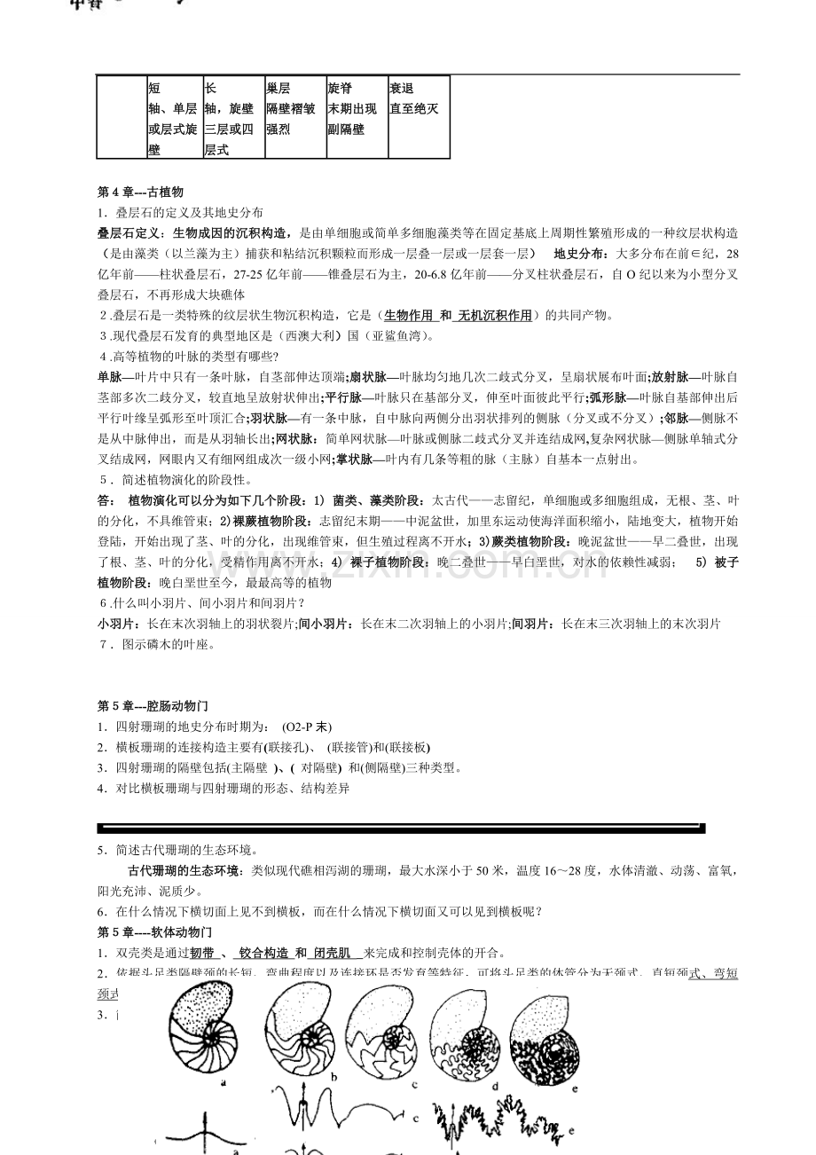 古生物地层学复习资料.doc_第3页