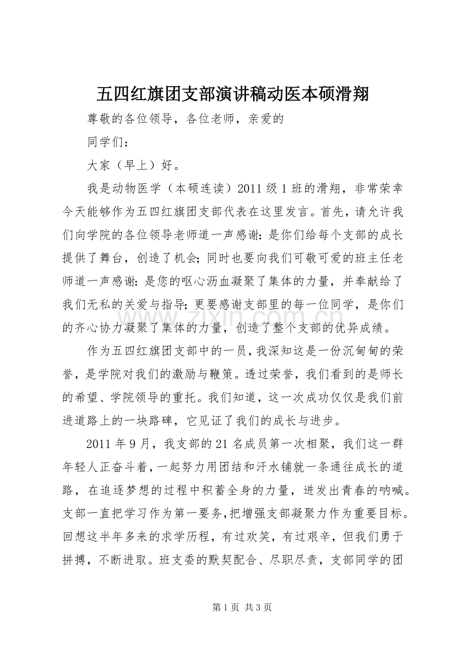 五四红旗团支部演讲稿动医本硕滑翔.docx_第1页