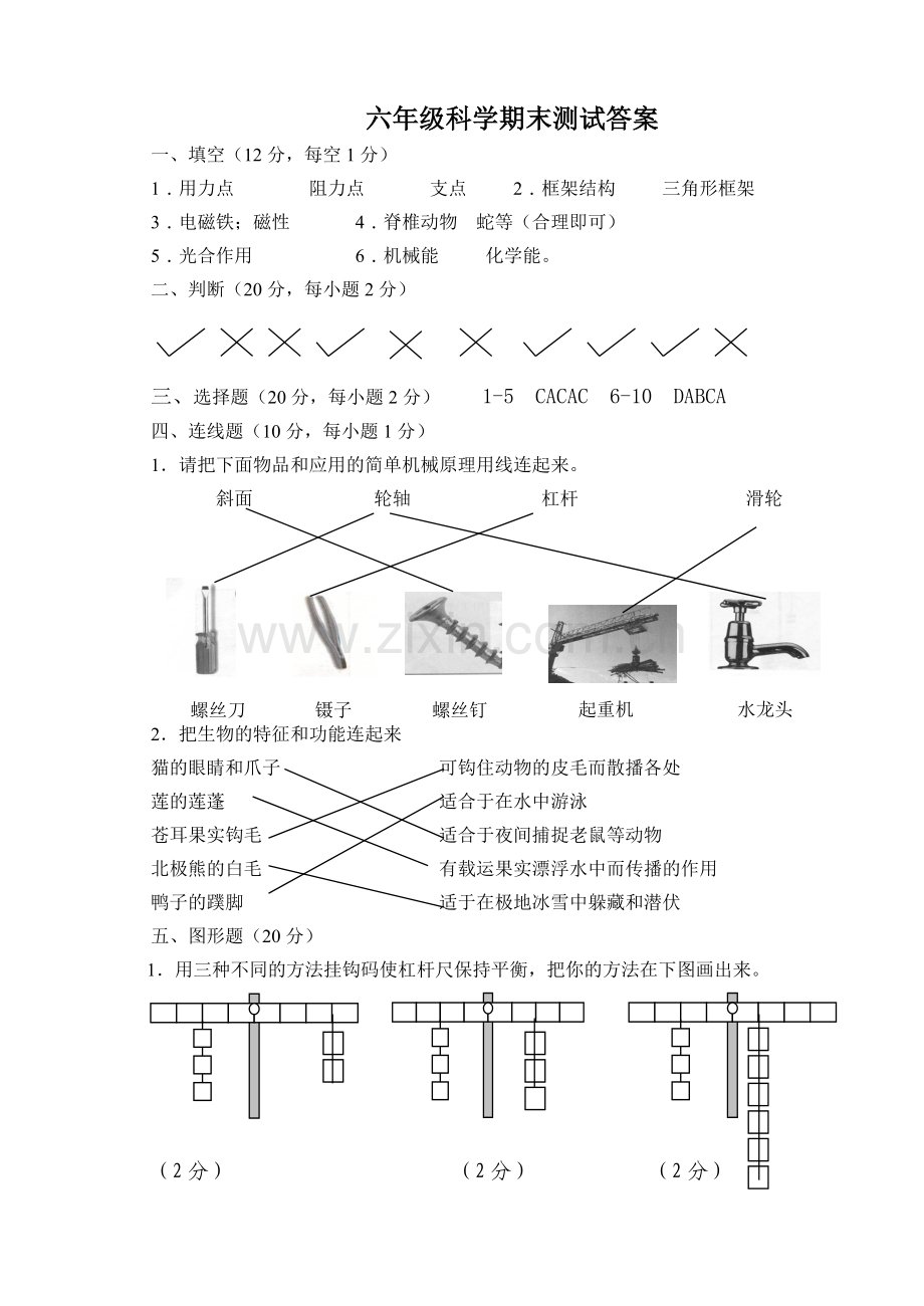 六年级科学答案.doc_第1页