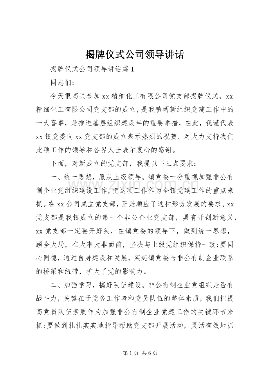 揭牌仪式公司领导讲话.docx_第1页