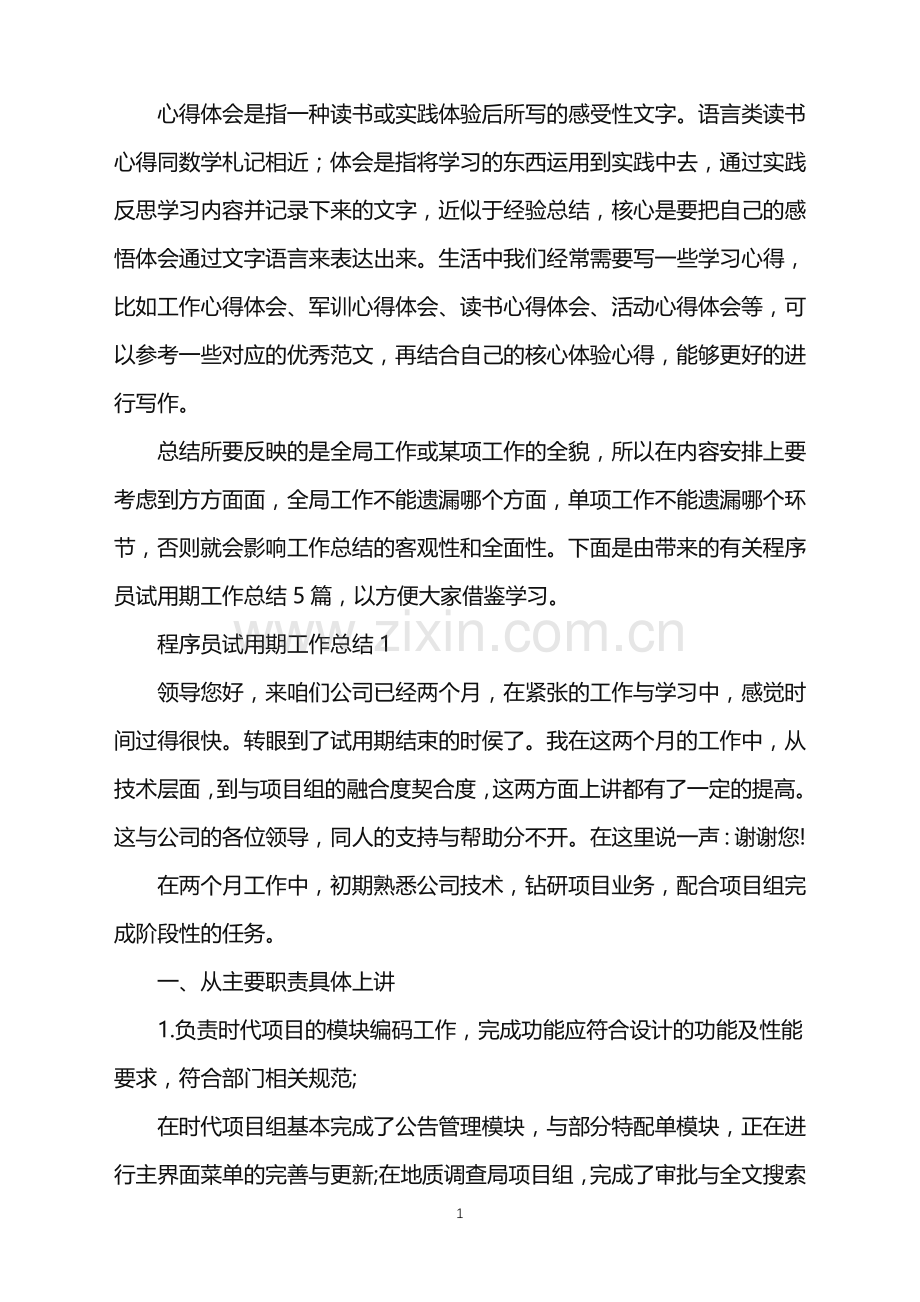 程序员试用期个人工作总结2022.doc_第1页