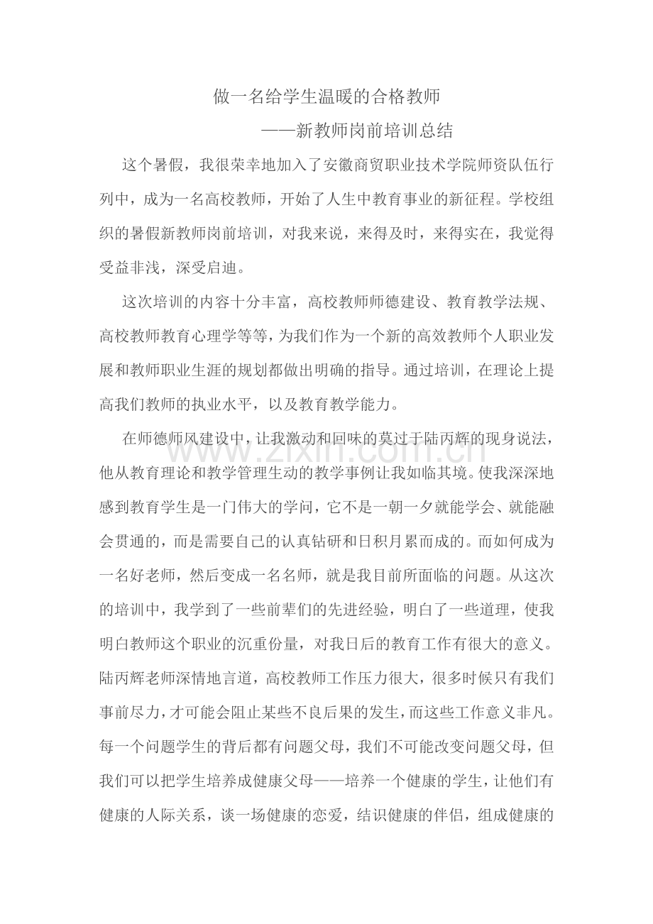 新教师岗前培训总结.doc_第1页