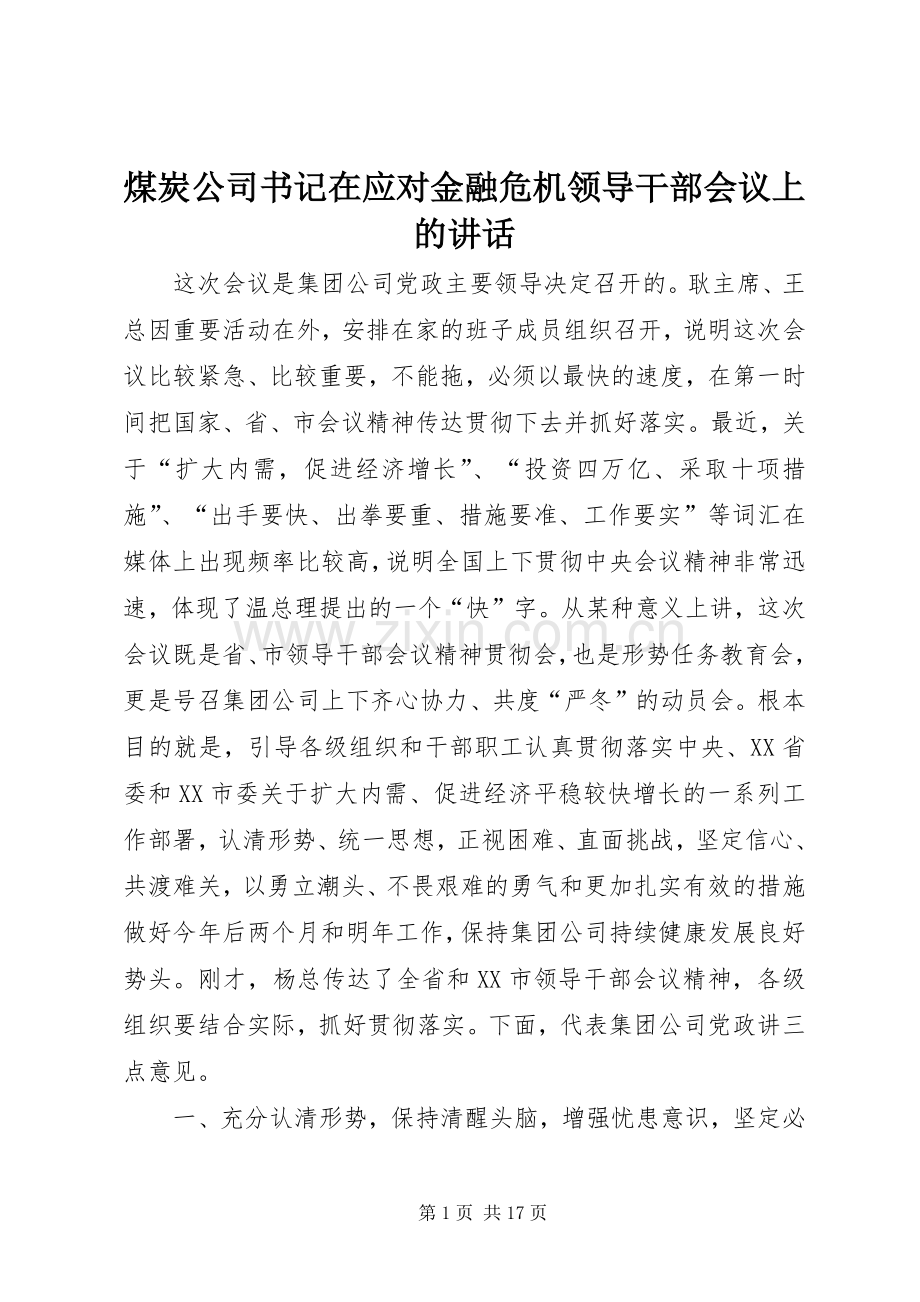 煤炭公司书记在应对金融危机领导干部会议上的讲话.docx_第1页