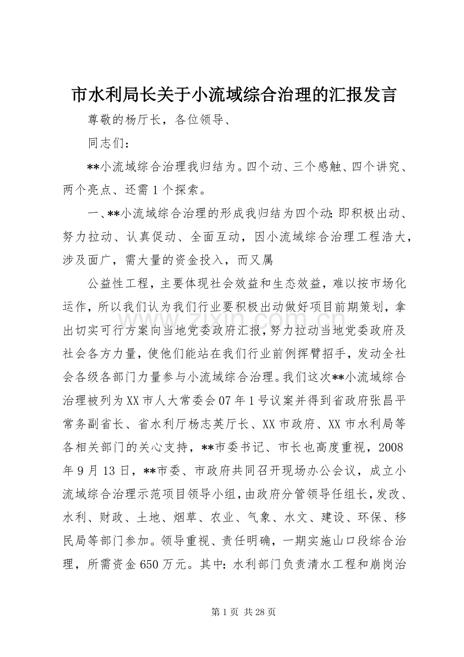 市水利局长关于小流域综合治理的汇报发言.docx_第1页