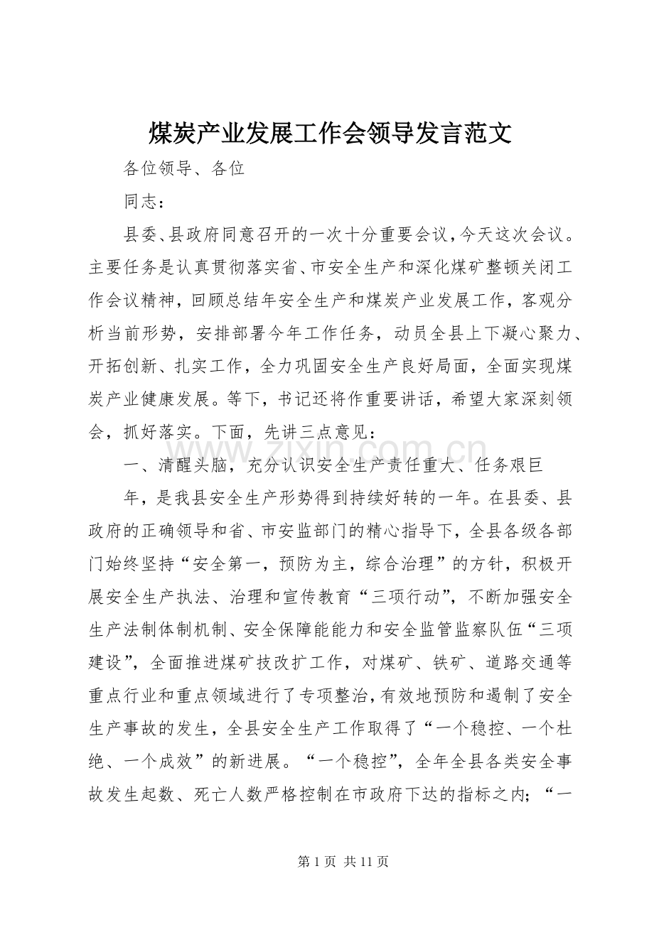 煤炭产业发展工作会领导发言范文.docx_第1页