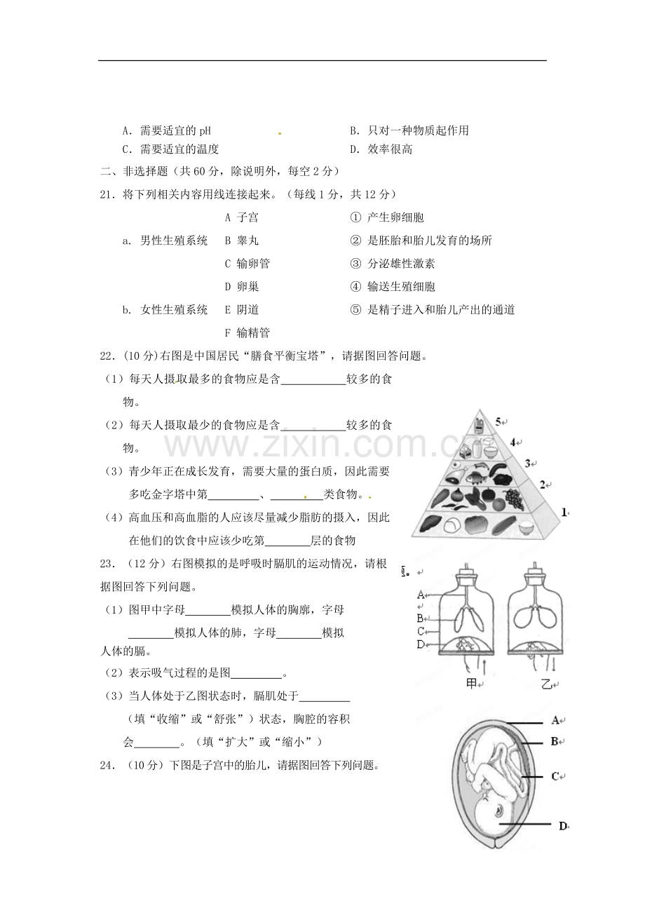 海南省海口市2012-2013学年七年级生物下学期期中检测试题(B)-新人教版.doc_第3页