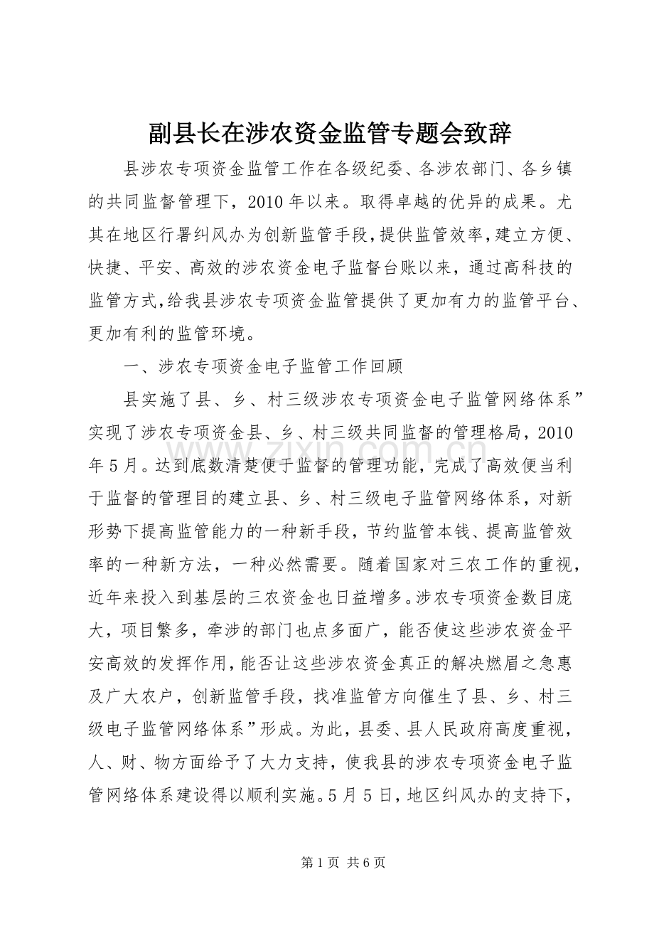 副县长在涉农资金监管专题会致辞.docx_第1页