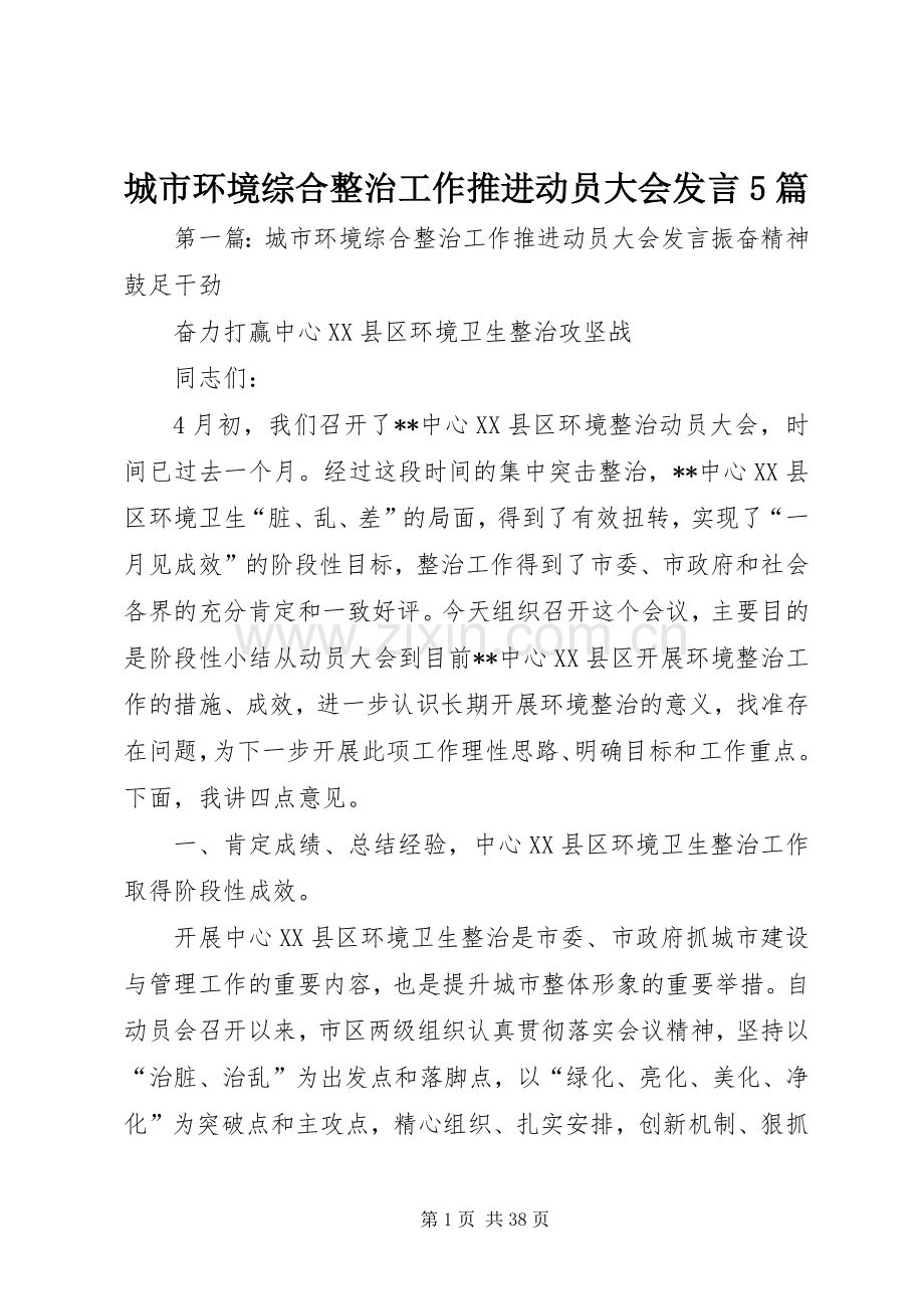 城市环境综合整治工作推进动员大会发言稿5篇.docx_第1页